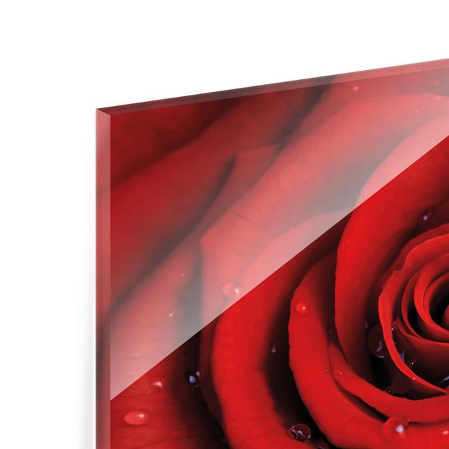 Glas Magnetboard Red Rose With Water Drops