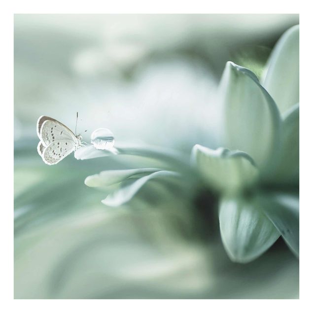 Tavlor blommor  Butterfly And Dew Drops In Pastel Green