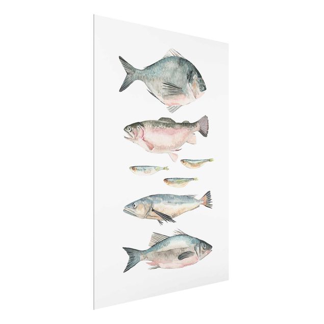 Tavlor modernt Seven Fish In Watercolour II