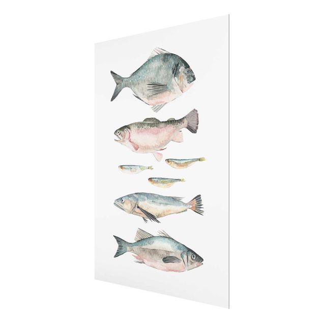 Tavlor Seven Fish In Watercolour II