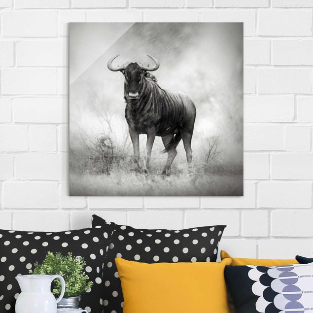 Kök dekoration Staring Wildebeest