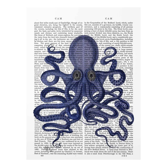 Tavlor blå Animal Reading - Octopus