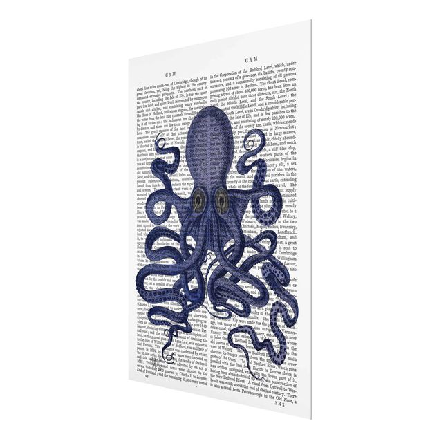 Tavlor Animal Reading - Octopus