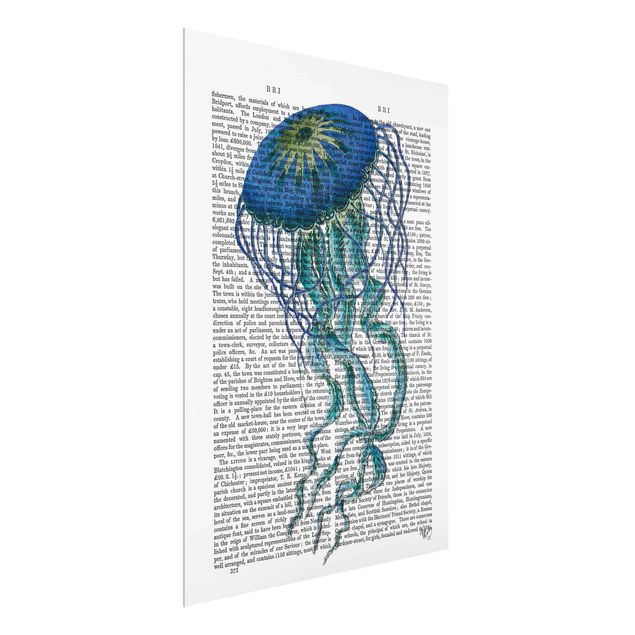 Tavlor ordspråk Animal Reading - Jellyfish