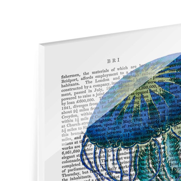 Glas Magnettavla Animal Reading - Jellyfish