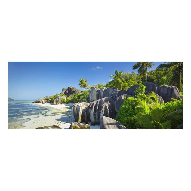 Tavlor hav Dream Beach Seychelles