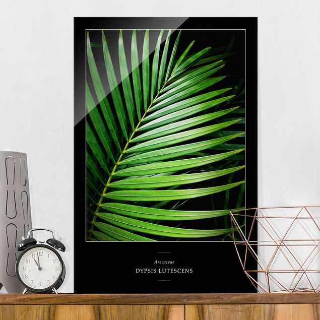 Kök dekoration Tropical Palm Leaf