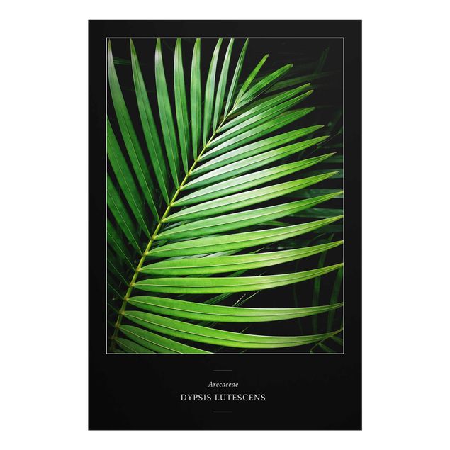 Tavlor grön Tropical Palm Leaf