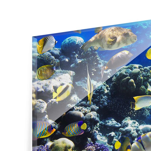 Tavlor blå Underwater Reef