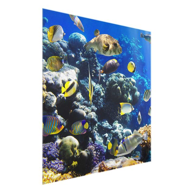 Tavlor hav Underwater Reef