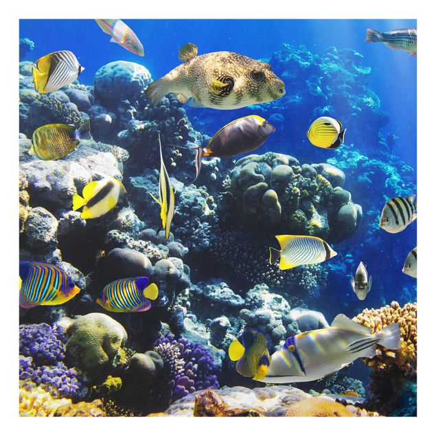Glastavlor landskap Underwater Reef
