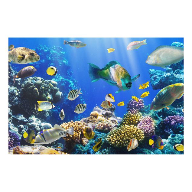 Glastavlor landskap Underwater Reef