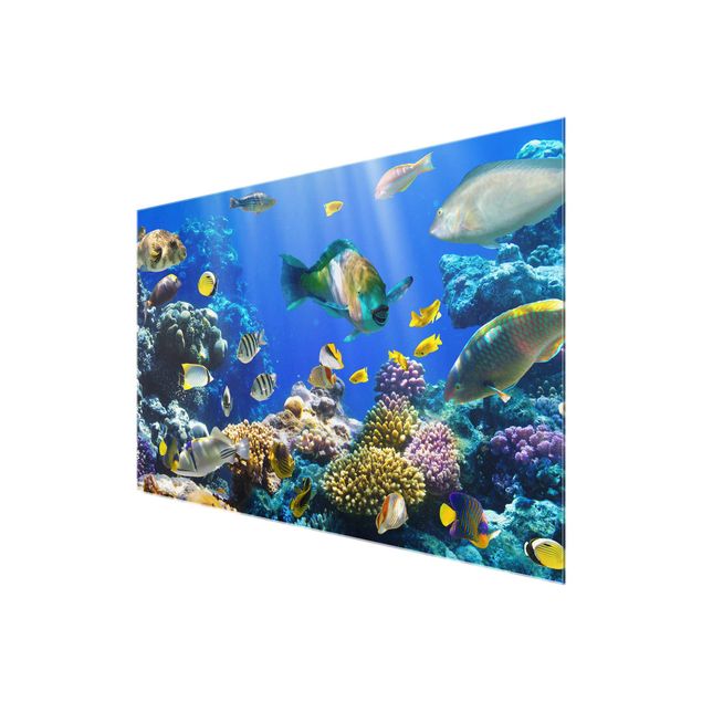 Glastavlor stränder Underwater Reef