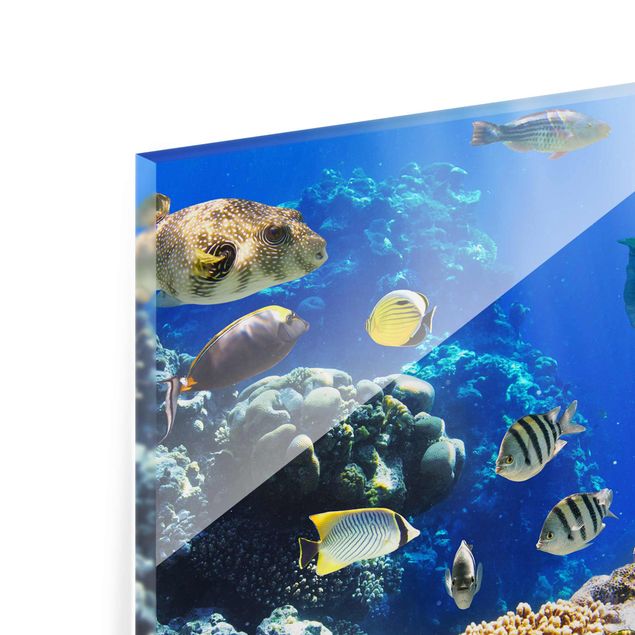 Tavlor blå Underwater Reef