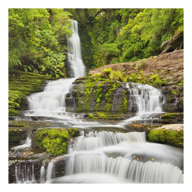 Tavlor natur Upper Mclean Falls In New Zealand