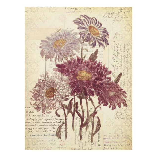 Tavlor Vintage Flowers With Handwriting