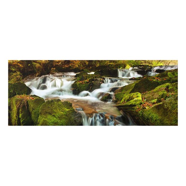 Glastavlor landskap Waterfall Autumnal Forest