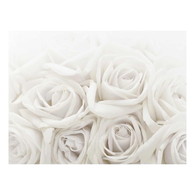 Tavlor blommor  Wedding Roses