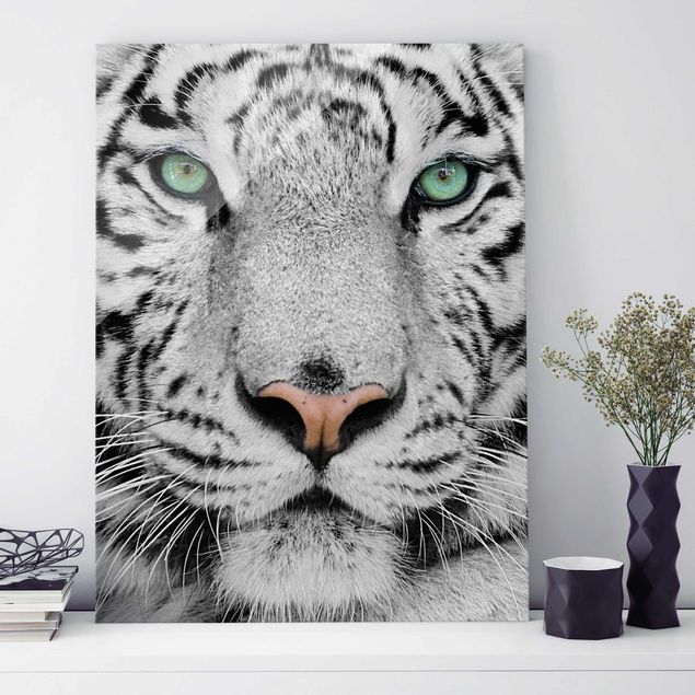 Kök dekoration White Tiger