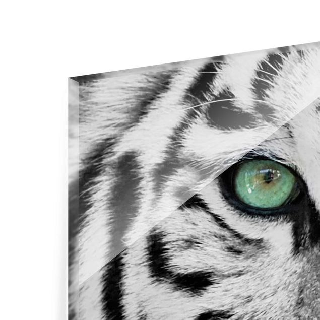 Magnettafel Glas White Tiger