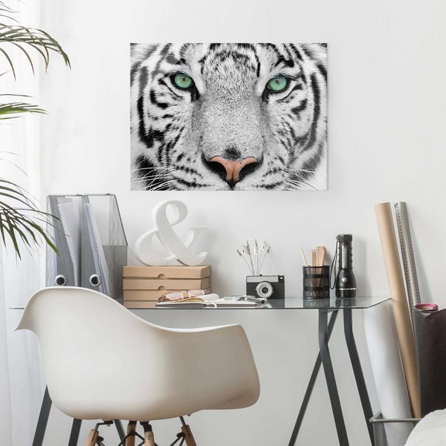 Glastavlor svart och vitt White Tiger