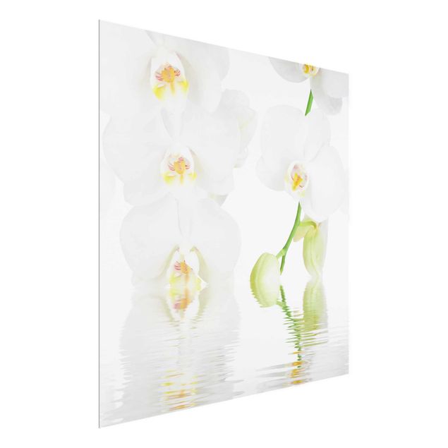 Glastavlor blommor  Spa Orchid - White Orchid