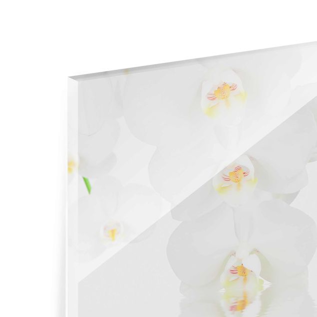 Magnettafel Glas Spa Orchid - White Orchid