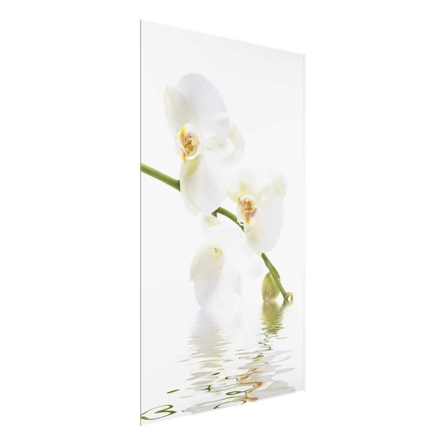 Glastavlor blommor  White Orchid Waters