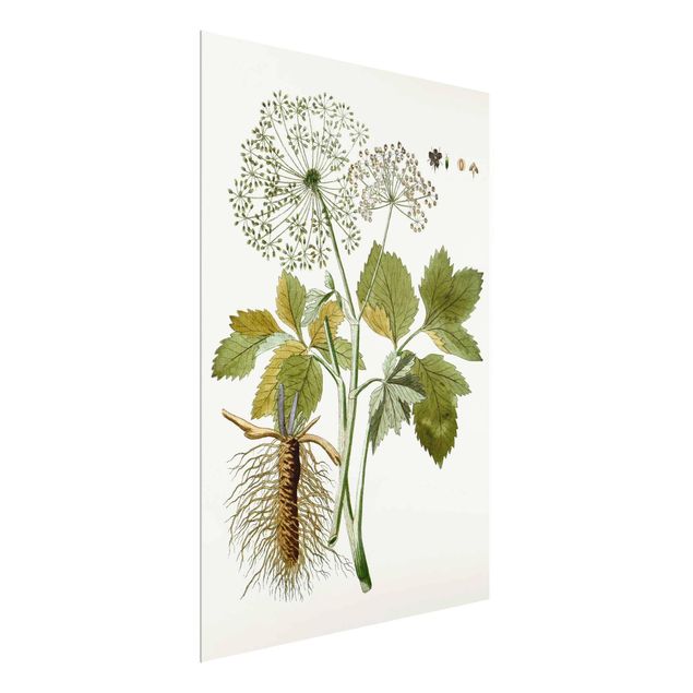 Tavlor blommor  Wild Herbs Board IV