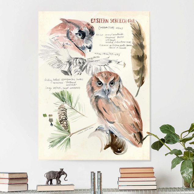 Glastavlor blommor  Wilderness Journal - Owl
