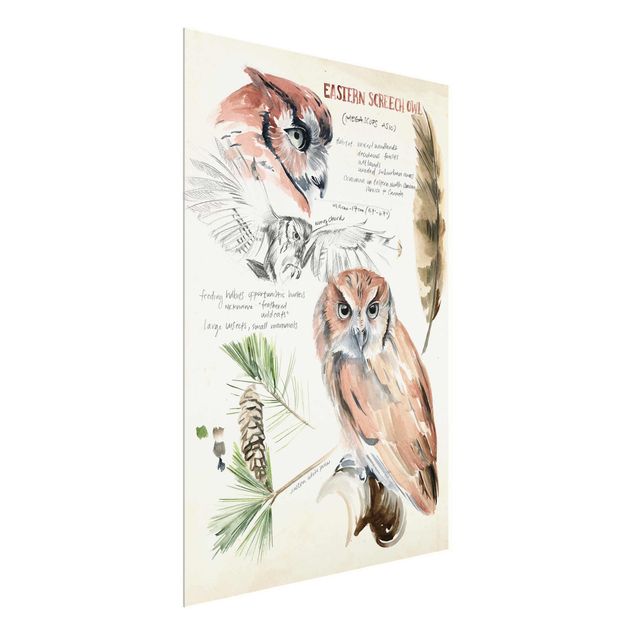 Tavlor blommor  Wilderness Journal - Owl