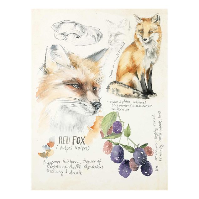 Tavlor orange Wilderness Journal - Fox