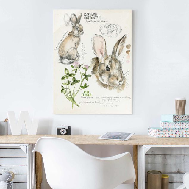 Glastavlor blommor  Wilderness Journal - Rabbit