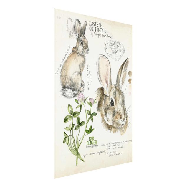 Tavlor blommor  Wilderness Journal - Rabbit