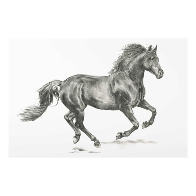 Tavlor modernt Wild Horse Trial - Stallion