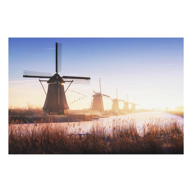 Tavlor Windmills Of Kinderdijk