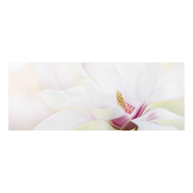 Tavlor Delicate Magnolia Blossom