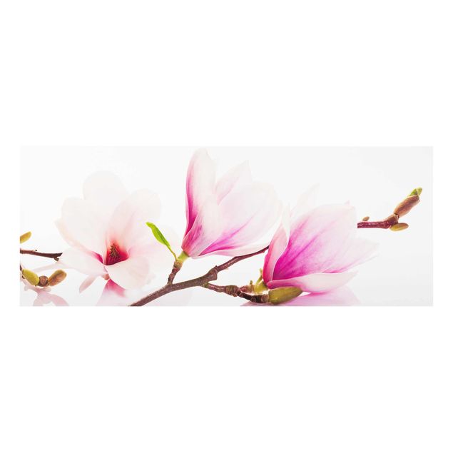 Tavlor rosa Delicate Magnolia Branch