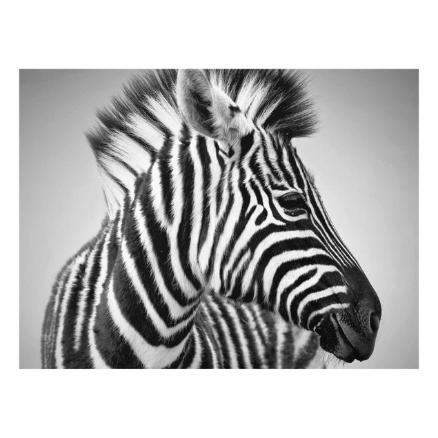 Tavlor Afrika Zebra Baby Portrait II