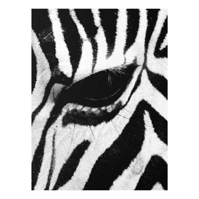 Tavlor Afrika Zebra Crossing