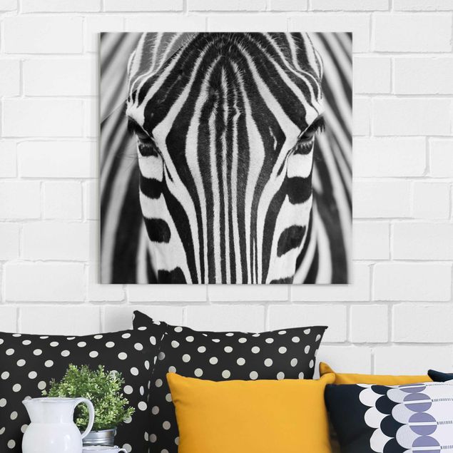 Kök dekoration Zebra Look