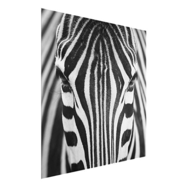 Glastavlor djur Zebra Look