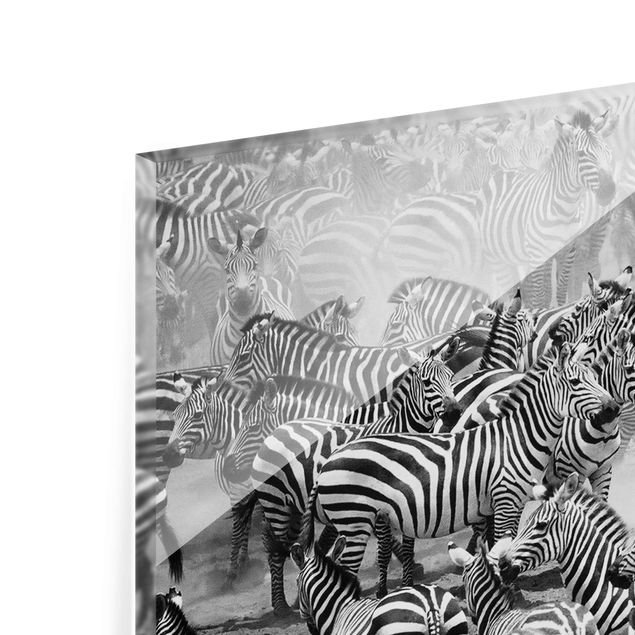 Glas Magnetboard Zebra herd II
