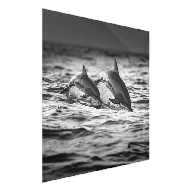 Glastavlor djur Two Jumping Dolphins