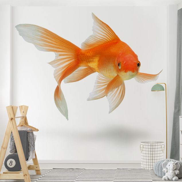 Fototapeter fisk Goldfish Is Watching You