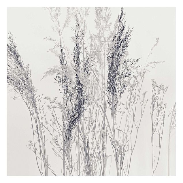 Tavlor Monika Strigel Variations Of Grass