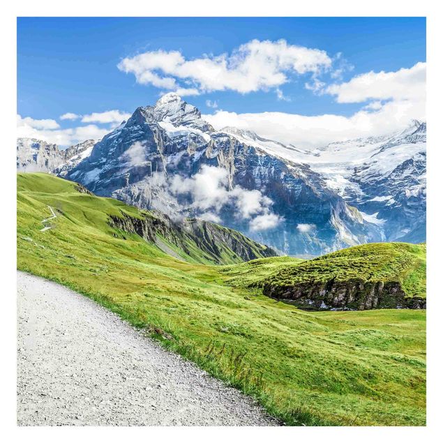 Fototapeter landskap Grindelwald Panorama