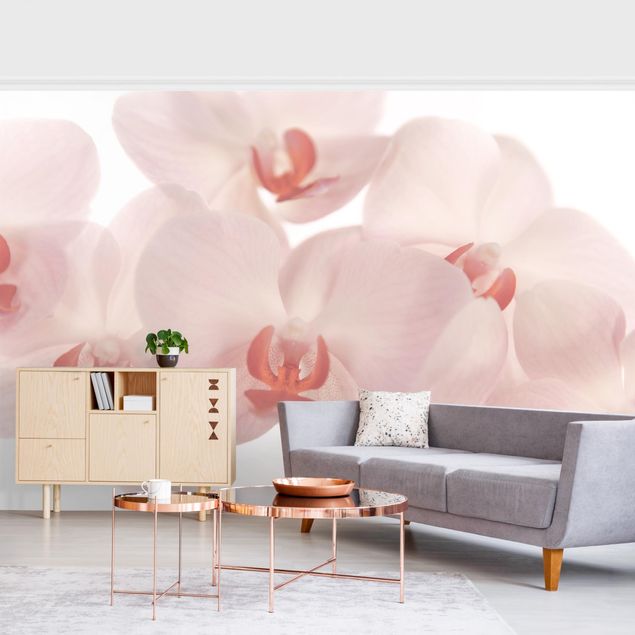 Tapeter modernt Bright Orchid Flower Wallpaper - Svelte Orchids