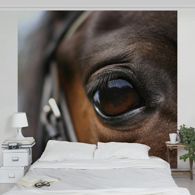 Tapeter modernt Horse Eye