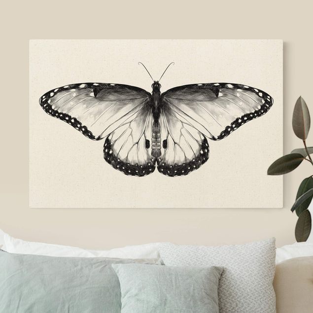 Tavlor fjärilar Illustration Flying Common Morpho Black